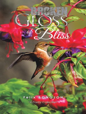 cover image of Broken Gloss of Bliss